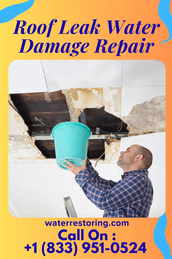 Roof Leak Water Damage Repair in Columbia, IL
